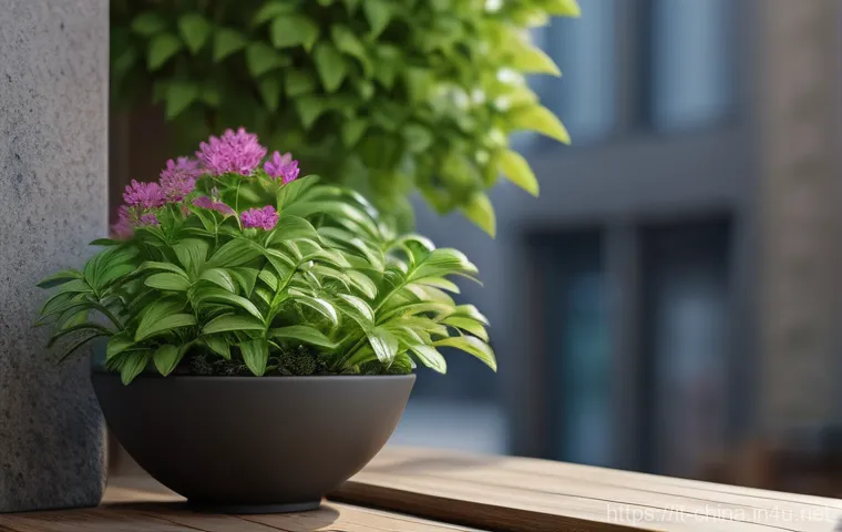 중국 만다린과 광둥어 차이 이미지 1