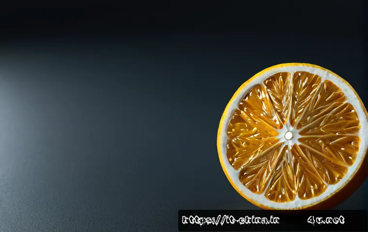 Abiti e lingue delle minoranze etniche cinesi: guida per riconoscere differenze, contesti e visite culturali 4 중국 소수민족 의상 및 언어 관련 이미지 2